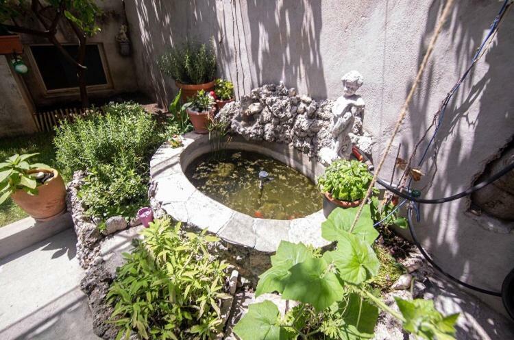 Apartmani Marko ماكارسكا المظهر الخارجي الصورة